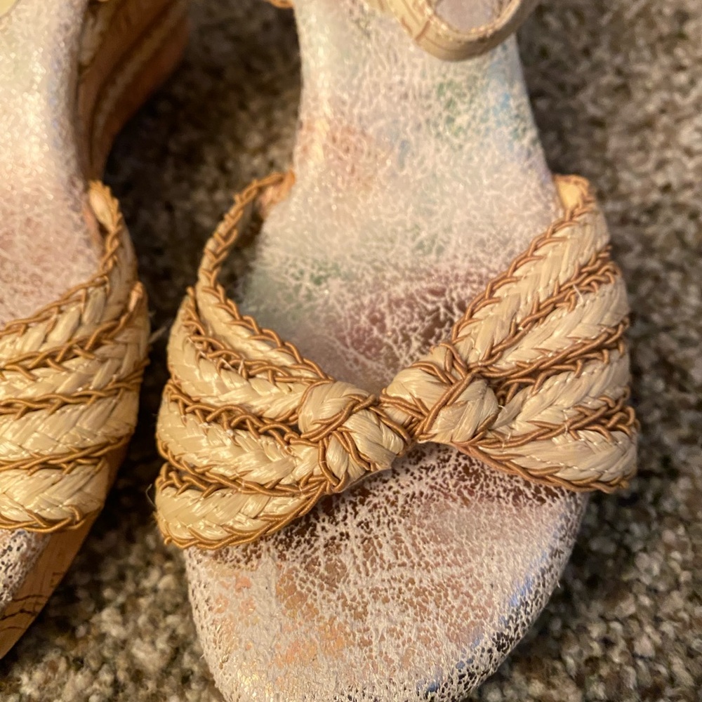 Apostrophe wedges - Picture 2 of 5